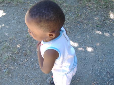 BB DAN